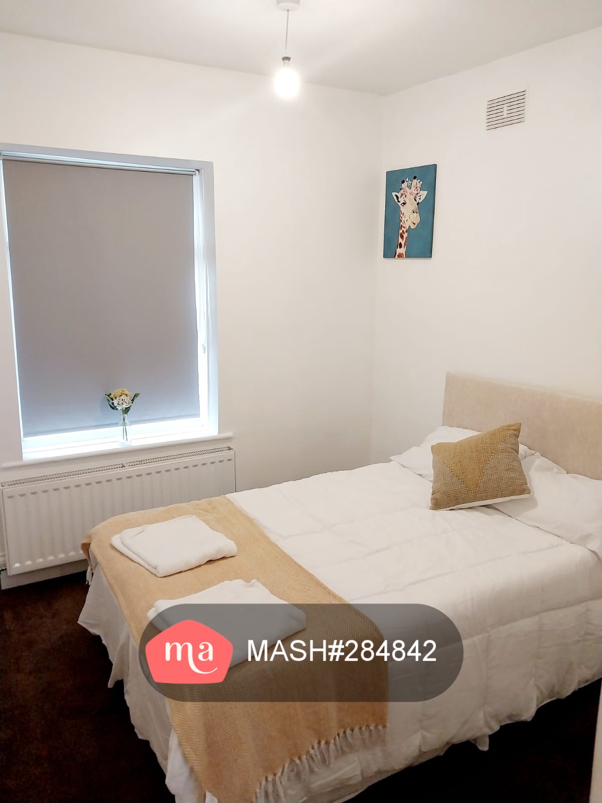 2 Bedroom Semi-detached to rent in Newcastle upon tyne - Mashroom